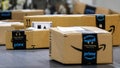 Boxes lie on a conveyor belt during Cyber Monday at Amazon's fulfillment center in Robbinsville, New Jersey, U.S., December 2, 2024. - Fox News