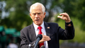 White House Counselor for Trade and Manufacturing Peter Navarro speaking outside the White House - Fox News