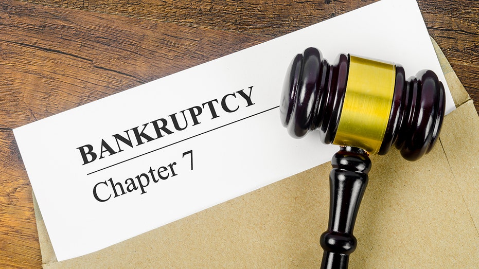 Chapter 7 Bankruptcy text