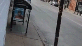 Delivery robot smashes into Chicago bus shelter in wild video - Fox Business News
