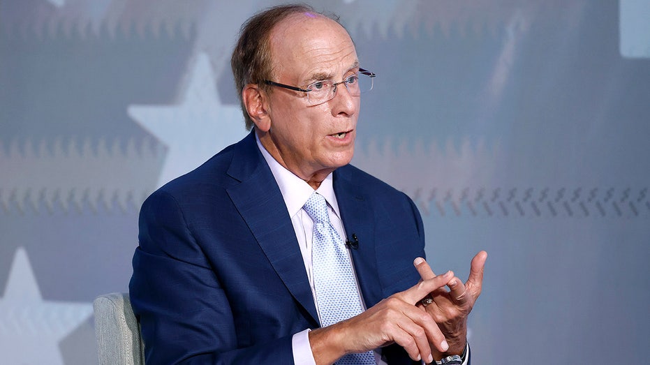 BlackRock CEO Larry Fink speaks