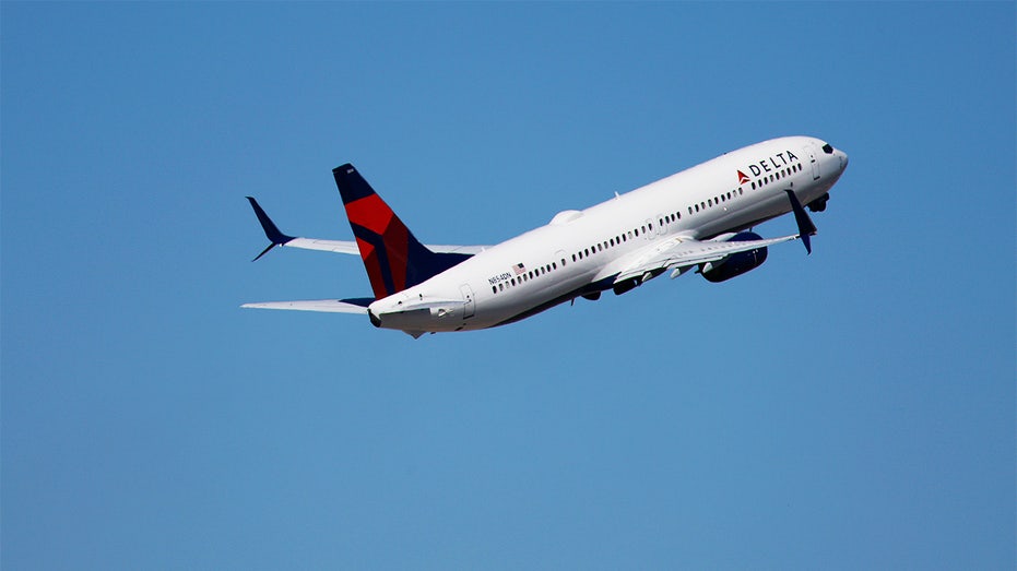 delta airlines flight