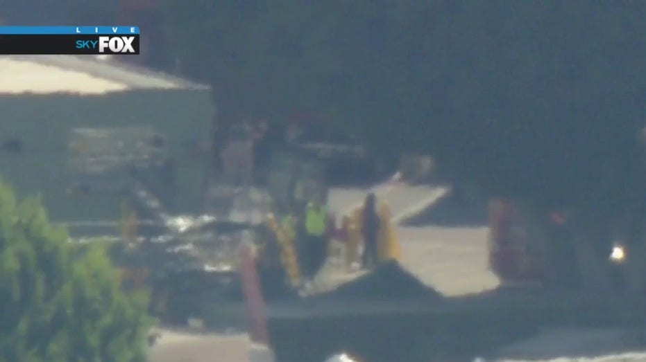 Law enforcement at Disneyland during incident