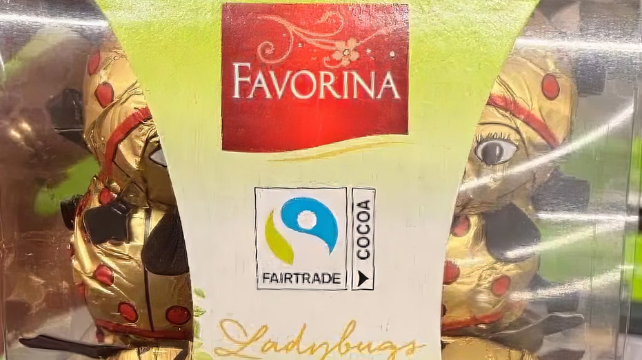 favorina chocolate ladybugs