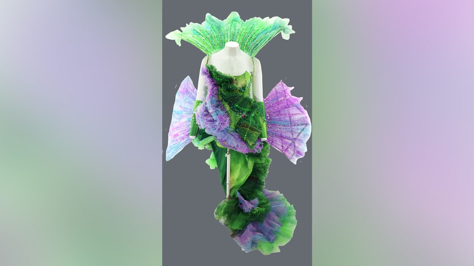 Miss North Dakota dress