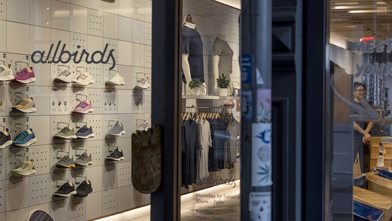 Allbirds drops sneakers, reinvents itself as an AI infrastructure company Allbirds drops sneakers, reinvents itself as an AI infrastructure company