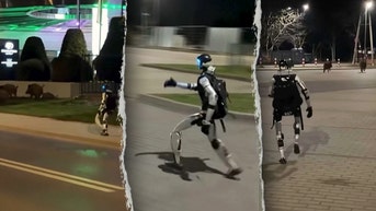 Humanoid robot chases wild boars off street in bizarre viral showdown - Fox News