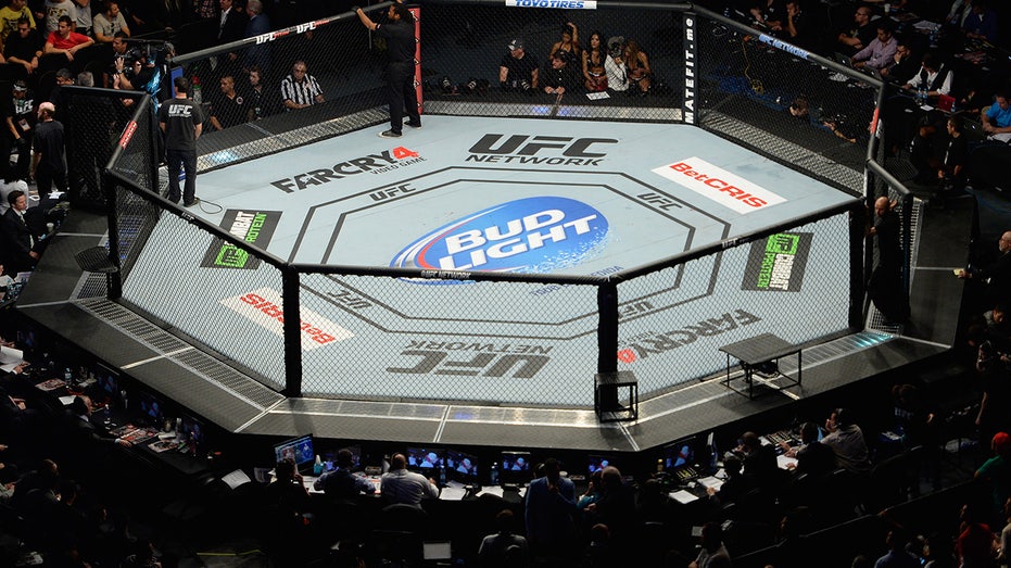 Bud Light logo in octagon