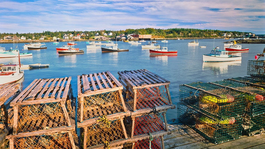Maine harbor view with lobster traps