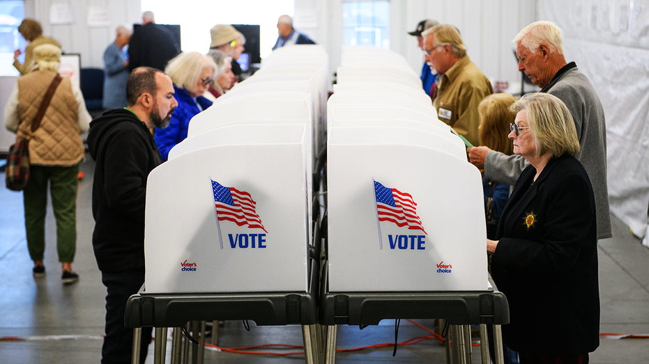 People voting at voter booths