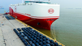 BYD's Shenzhen car carrier docked to load electric vehicles for export. - Fox News