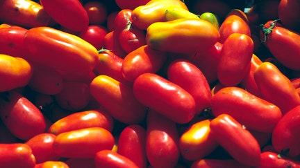 San Marzano tomatoes are pictured in Campania, Italy. - Fox Business News