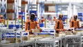 Humanoid robots on a factory floor. - Fox News