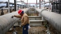 A contractor works on a crude oil pipeline at the U.S. Department of Energy's Bryan Mound Strategic Petroleum Reserve in Freeport, Texas. - Fox News