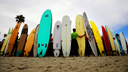 Surfers lined up with their surboards