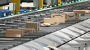Little Grape nursing pillows were sold on Amazon, according to the CPSC. - Fox Business News