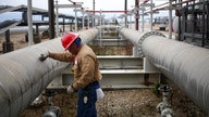 US oil reserves drop towards Reagan-era lows, 'significant impact at the pump' coming, experts warn