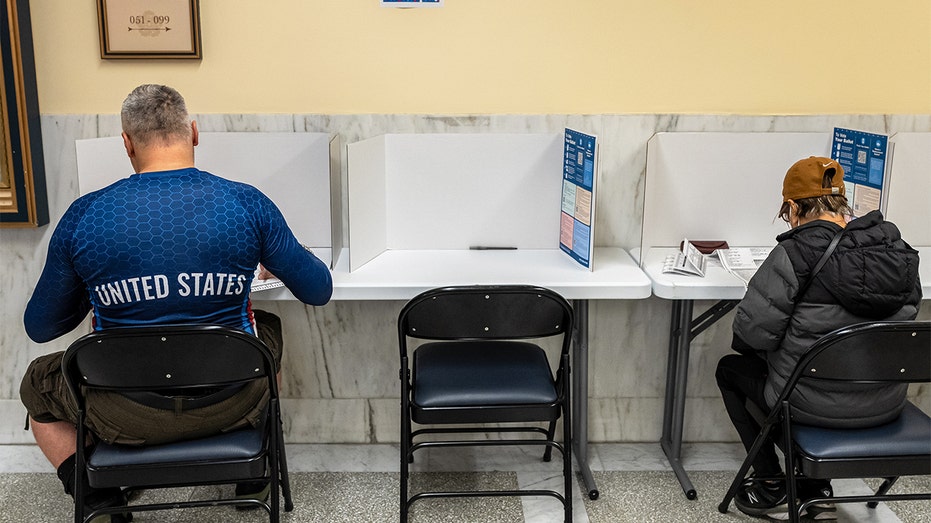 san francisco residents vote in election