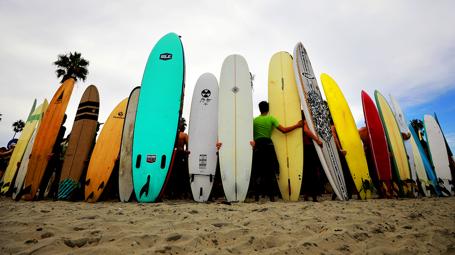 Surfers lined up with their surboards