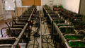 Cryptocurrency mining rigs at a facility in Buenos Aires, Argentina, on Monday, Dec. 2, 2024. - Fox News