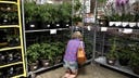 customer broswing plants and vegetables at Costco