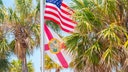 US and Florida flags fly in palm trees