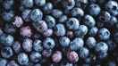Full frame of fresh blueberries. - Fox Business News