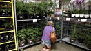 A customer browses vegetable plants at a Costco Wholesale Corp. store in Naperville, Illinois, U.S., on Monday, May 23, 2016.  - Fox Business News