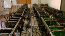 Cryptocurrency mining rigs at a facility in Buenos Aires, Argentina, on Monday, Dec. 2, 2024.  - Fox Business News