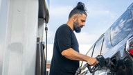 White House, gas stations point fingers over stubborn prices while locations that slashed prices see boom