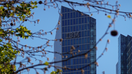 IBM sends 'shockwave' through tech industry with AI warning