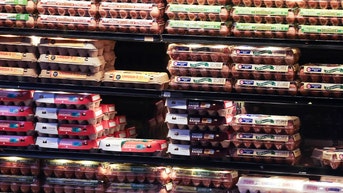 Major egg companies agree to settlement in alleged egg pricing scheme - Fox News