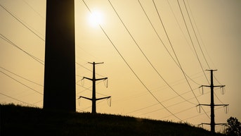 PJM wins emergency authority to curb data centers as power demand surges - Fox News