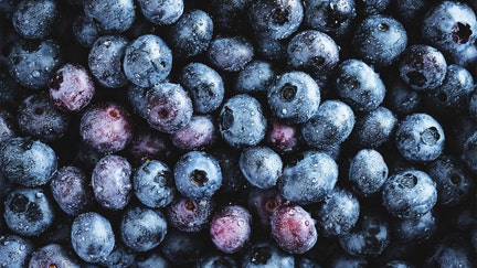 Full frame of fresh blueberries. - Fox Business News