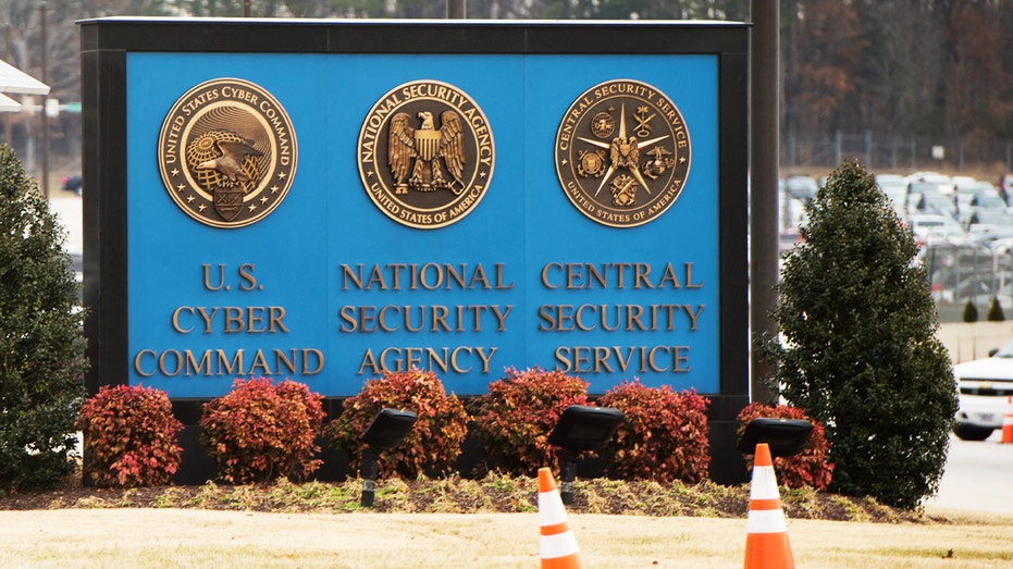 us-crime intelligence