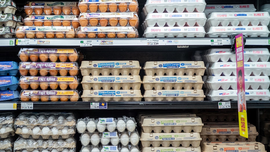 Cartons of eggs