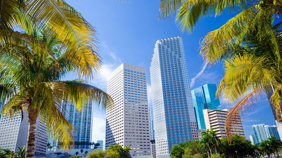 Miami office buildings with palm trees