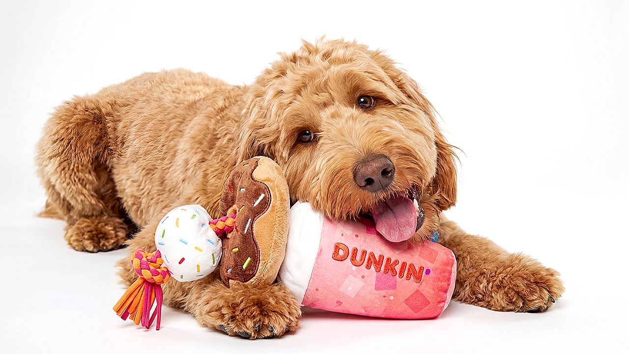 Dunkin’ opened its first-ever dog drive-thru with treats and toys for pups on National Dog Day