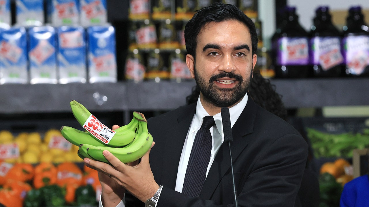 NYC-area chamber of commerce CEO blasts Mamdani grocery plan as ‘disastrous’ amid legal fight NYC-area chamber of commerce CEO blasts Mamdani grocery plan as ‘disastrous’ amid legal fight