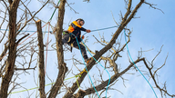 Climbing ropes recalled over risk of death from falling, regulators say