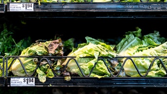 Massive lettuce-linked outbreak expands to 3 more states with over 11,000 illnesses - Fox News