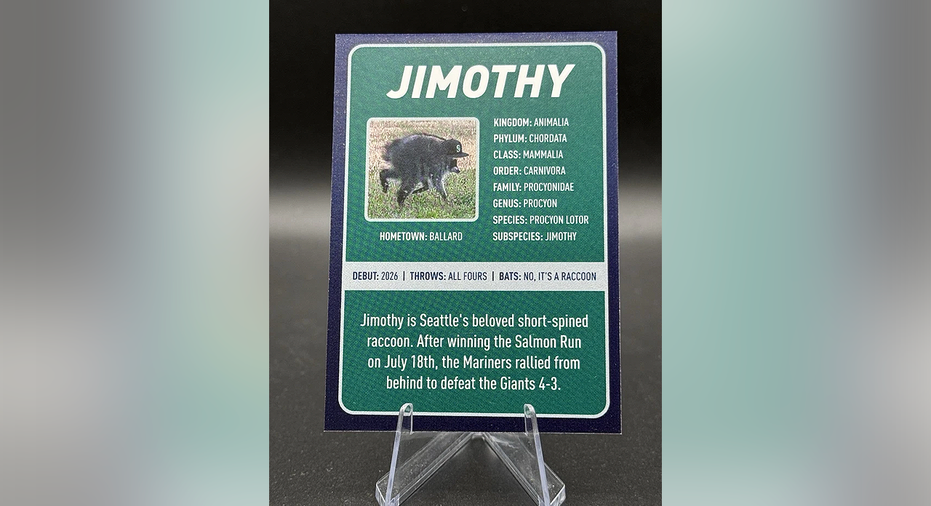Back of the Seattle Mariners Jimothy rookie card featuring facts about the viral Ballard raccoon