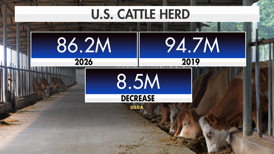 USDA Cattle Shortage