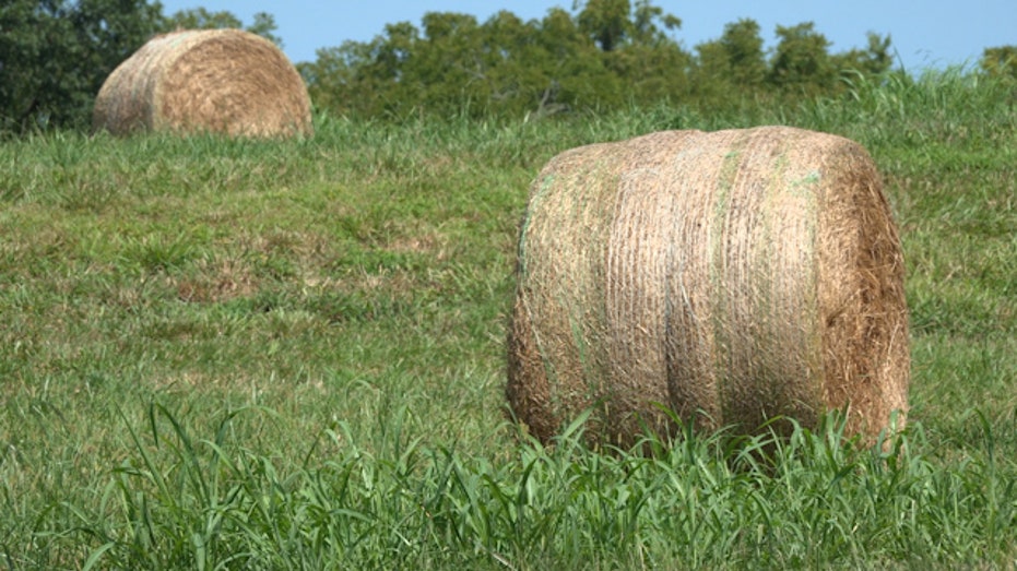 Tennessee ranch hay