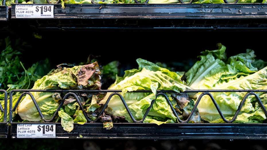 Lettuce is displayed