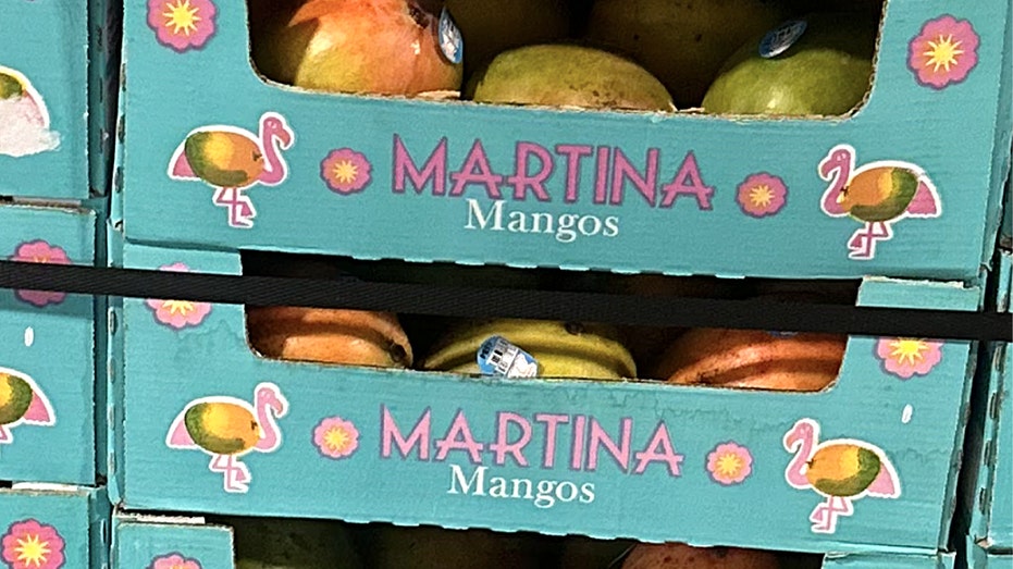 mangos in boxes