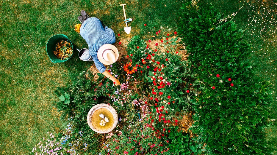 Overhead view of a gardener.