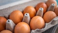 Closeup macro of pasture raised farm fresh dozen brown eggs store bought from farmer in carton box container with speckled eggshells texture - Fox News