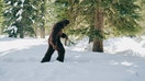 Bigfoot Sasquatch in a mountain forest during winter. - Fox Business News