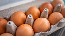 Closeup macro of pasture raised farm fresh dozen brown eggs store bought from farmer in carton box container with speckled eggshells texture - Fox Business News
